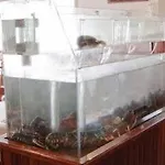 Florida ホテル アルテイショ