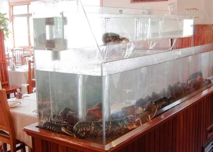 Florida أرتيكسو