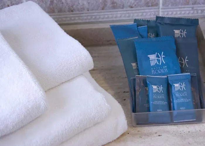 فندق Florida أرتيكسو